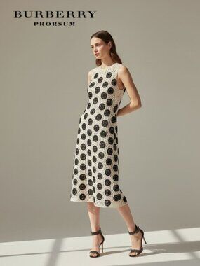 Burberry Prosum Curlicue Embroidered Lace Midi Dress